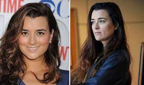Ncis Why Did Cote De Pablo Originally Leave Ncis Could She Return Again Tv Radio Showbiz Tv Express Co Uk