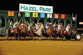 You And Your Partner Will Love These 12 Unique Date Ideas In Michigan Hazel Park Michigan Unique Date Ideas