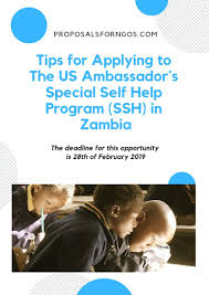 Tips For Applying To The Us Ambassador S Special Self Help Program Ssh In Zambia Proposalforngos How To Apply Grant Writing Self Help