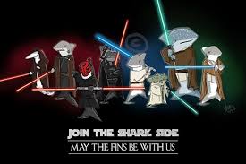 The Shark Comics And Cartoons Join The Shark Side Shark Shark Conservation In The Zoo