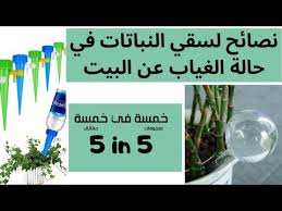 Maybe you would like to learn more about one of these? Ù†ØµØ§Ø¦Ø­ Ù„Ø·Ø±ÙŠÙ‚Ø© Ø³Ù‚ÙŠ Ø§Ù„Ù†Ø¨Ø§ØªØ§Øª ÙÙŠ Ø­Ø§Ù„Ø© Ø§Ù„Ø³ÙØ± Ø£Ùˆ Ø§Ù„ØºÙŠØ§Ø¨ Ø¹Ù† Ø§Ù„Ø¨ÙŠØª Youtube