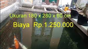 Pembuatan Kolam Ikan Koi Murah Meriah Youtube