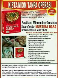 Untuk itu sangatlah penting bagi penderita diabetes untuk mengetahui makanan apa yang harus dimakan dan juga makanan yang harus dihindari. Jual Mustika Dara Hpai Kista Mioma Toksoplasma Hernia Varises Wasir Kab Bandung 99sweefit Tokopedia