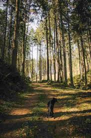Posted on november 7, 2015january 24, 2016 by austrianders.com. Erfrischende Wanderung Am Ottensteiner Stausee Mit Vielen Badestopps Bademoglichkeiten Und Routen