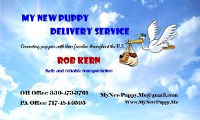 Keystone puppies offers pet shipping services to make our adoption process easy for new pet owners! Puppy Shipping Services Lancaster Puppies