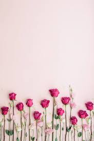 Pin By S C On Celular Papel De Parede Flower Wallpaper Pink Background Rose Wallpaper The great collection of cute flower wallpapers for desktop, laptop and mobiles. flower wallpaper pink background