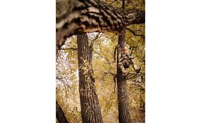 This song is a vivid outro pneuma reach out and beyond wake up, remember we are born of one breath, one word we are all one spark, eyes full of wonder. Pnuma Outdoors High Performance Apparel For Hunters