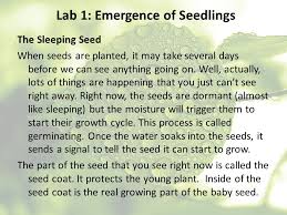 What's the definition of gone to seed in thesaurus? Forces In Living Things Lab In Science There Is A Very Specific Definition For The Word Work Work Only Takes Place If There Is A Force And A Motion Ppt Download