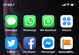 Questo articolo ti presenta 3 modi per configurare il doppio account whatsapp sul telefono, e una non troverai una sola persona che non abbia whatsapp. Due Account Whatsapp Su Iphone Dondi Guida Sito Ufficiale Di Don Diego Goso