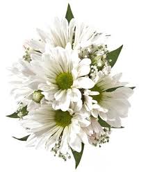 White Daisy Corsage Jpg 360 440 Prom Corsage And Boutonniere Corsage Wedding Prom Flowers