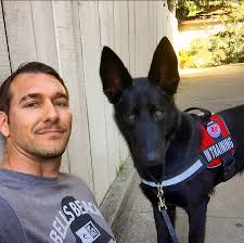 Was the salaries overview information useful? Brandon Mcmillan Animal Trainer Wikipedia