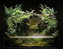 Pin By Cinar On Online Aquarium Shopping Secrets Aquarium Landscape Aquascape Aquascape Design