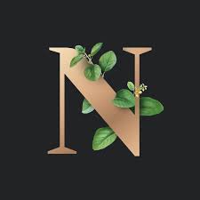 Download Premium Vector Of Botanical Capital Letter N Vector 584857 Harfleme Balonlar Logo Tasarimi