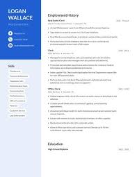 Professional Law Clerk Resume Examples