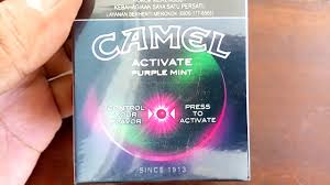 The llama, the alpaca, the guanaco. What S Inside Camel Activate Purple Mint Cigarettes Youtube