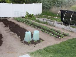 Gdab and i'm sorry for all the things i said. Why You Should Be Planting In Full Sun Our Stoney Acres