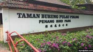 Things to do in penang island. Taman Burung Pulau Pinang Penang Bird Park Myrujukan