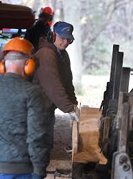 PHOTOS: Lindsay sawmill