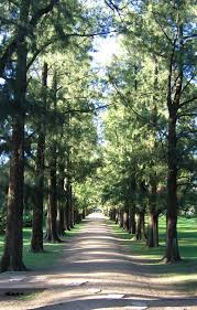 Panoramio Photo Explorer Argentina Paisajes Florencio Varela Argentina