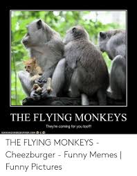 Flying monkeys intentionally and knowingly try to hurt you. 25 Best Memes About Flying Monkeys Meme Flying Monkeys Memes