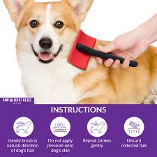 Amazon.com: Paw Brothers Medium Slicker Brush for Doodles, Goldendoodles,  Poodles