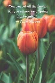 We hope you enjoyed our collection of 11 free pictures with pablo neruda quote. Pin On Inspiration