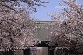 Maybe you would like to learn more about one of these? é–å›½ç¥žç¤¾ã®æ¡œ å†™çœŸç´ æ 5676677 ãƒ•ã‚©ãƒˆãƒ©ã‚¤ãƒ–ãƒ©ãƒªãƒ¼ Photolibrary