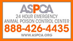 Below are steps on how to edit your recurring donation. Community Partners In Cerritos Ca Vca Lakewood Animal Hospital