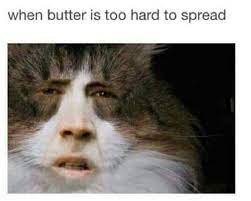 Pin By Greaterking On Lol Funny Pictures Tumblr Funny Laugh