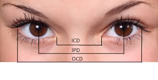 Medical conditions that cause the nasal bridge not to develop and project are also associated with epicanthic fold. Hypertelorism Article