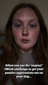 Suspect Challenge Passive Agrassive