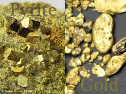 If the article was how to tell your friends from the krauts, would you consider that racist? How To Tell The Difference Between Real Gold And Fool S Gold Home Grown Fun