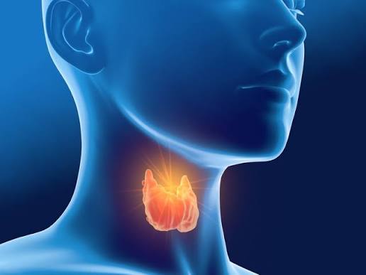 Tuyến giáp nằm ở đâu? Đóng vai trò gì trong cơ thể?