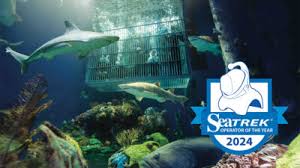 Out to Sea Shark Dive | Underwater Experience | Wonders of Wildlife