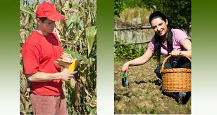 Tinerii cu studii în finanţe câştigă peste 400 de euro la început de carieră. Tinerii Fermieri Pot Solicita Fonduri Nerambursabile Pentru Instalarea Ca È™efi De ExploataÈ›ii Agricole Lumea Satului