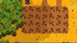 When you plant the stardew valley ancient seed, you will be able to get an ancient fruit only after 28 days. Stardew Valley Summer Seeds What Plants Do They Grow Gamerevolution