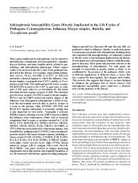 Aust n z j psychiatry. Pdf Schizophrenia Susceptibility Genes Directly Implicated In The Life Cycles Of Pathogens Cytomegalovirus Influenza Herpes Simplex Rubella And Toxoplasma Gondii Chris Carter Academia Edu