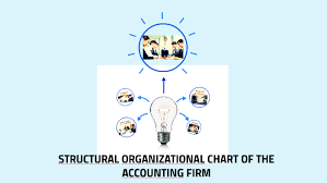 structural organizational chart of the accounting firm by