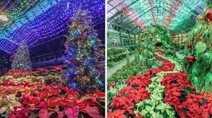 Glen Avenue Christmas Garden 2022 Niagara's Christmas Garden Is Full Of Twinkling Poinsettias & It's Like A  Trip To Whoville - Narcity