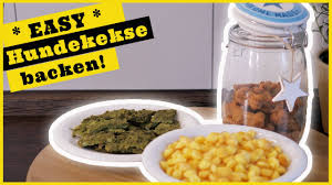 Weil wir diese seite für euch, unsere nutzer machen und sie nicht mit irrelevanten, kilometerlangen texten vollstopfen, nur um google zu gefallen. Hundekekse Backen I 3 Einfache Rezepte Fur Hundekekse Ohne Getreide
