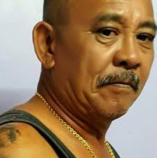 A pit bull saves his owner from a leopard attack in their backyard Created  by AI #rescue #wildlife #leopardattack #pitbull