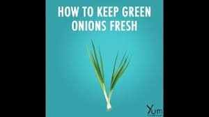 If you only use the green parts of the spring onion, leave the bulbs in water — the. How To Keep Green Onions Fresh Youtube