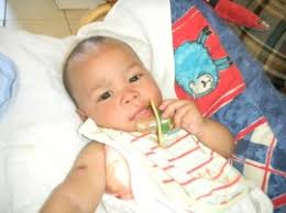 Organic Vegan Back Packing Food