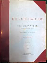 Image result for Oldenlandia verrucitesta