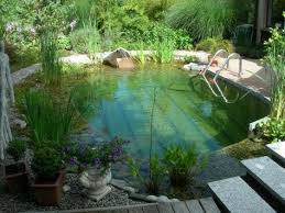 Www Graf Gartenbau Ch Schwimmteich Bilder 20schwimmteich Badeteich 20klein Jpg Naturschwimmbecken Wasserbecken Garten Schwimmteich