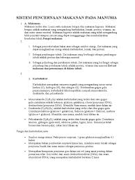 Makanan yang mengandung protein vitamin dan karbohidrat. Sistem Pencernaan Makanan Pdf