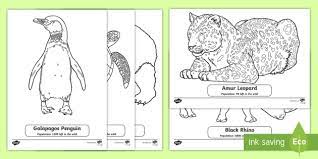 You can use our amazing online tool to color and edit the following endangered animals coloring pages. Animals Under Threat Colouring Sheets Primary Resource