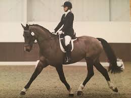 Profile for Becky Vale Dressage