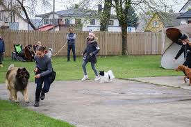 Check spelling or type a new query. Silvia Maria Martinson Kennel Artinson Boston Terrier Facebook