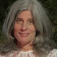 200+ "Toppi" profiles